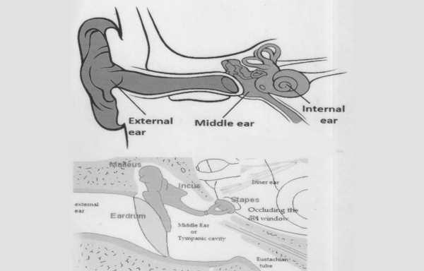 hearing tests for children, hearing tests for newborns, hearing tests for adults, hearing tests near me, hearing tests